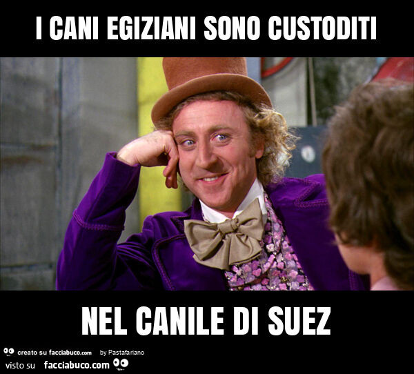 I cani egiziani sono custoditi nel canile di suez
