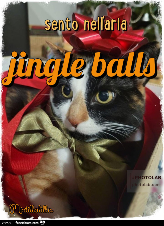 Jingle balls