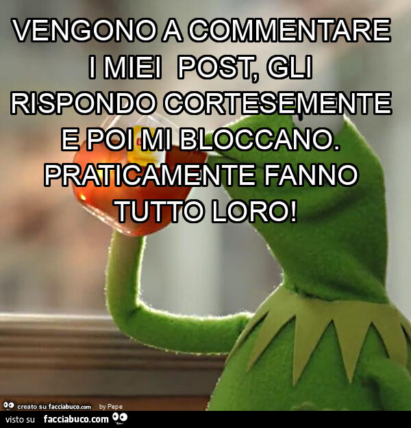 Vengono a commentare i miei post, gli rispondo cortesemente e poi mi bloccano. Praticamente fanno tutto loro