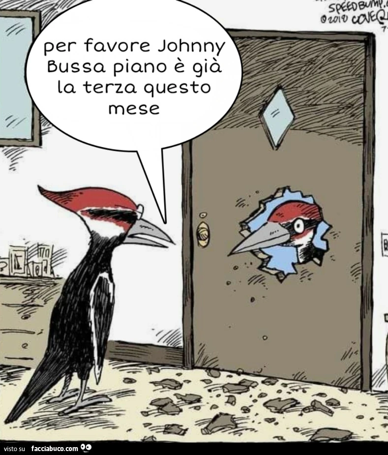 Picchio