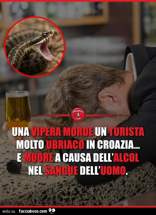 Vaccata