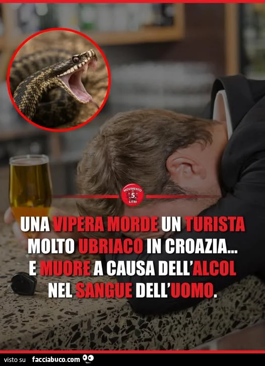 Vaccata