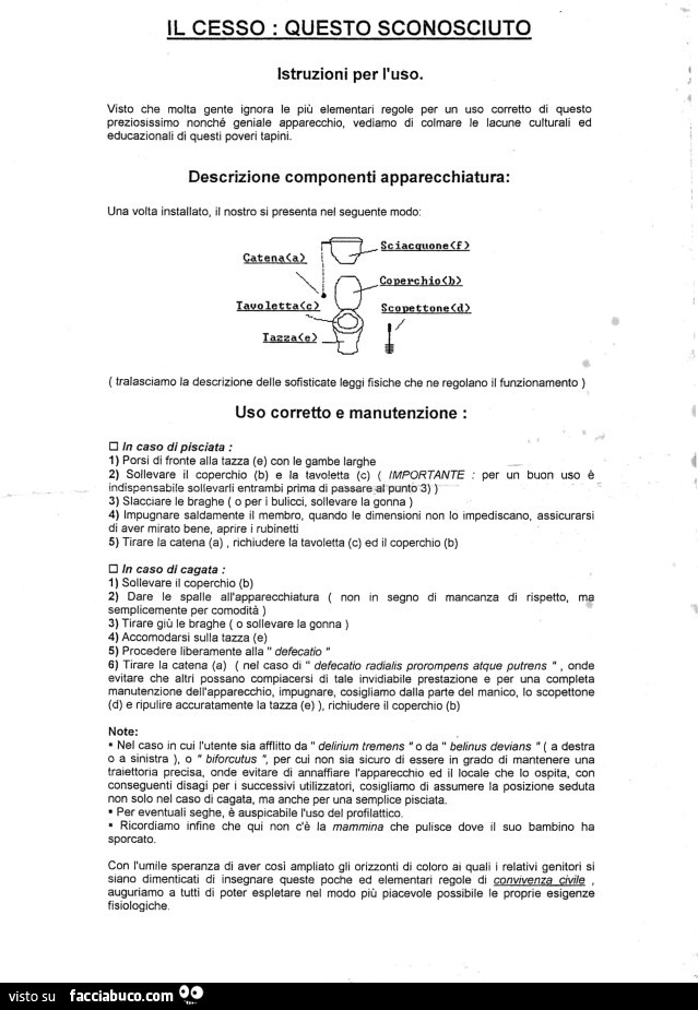 Il cesso: questo sconosciuto
