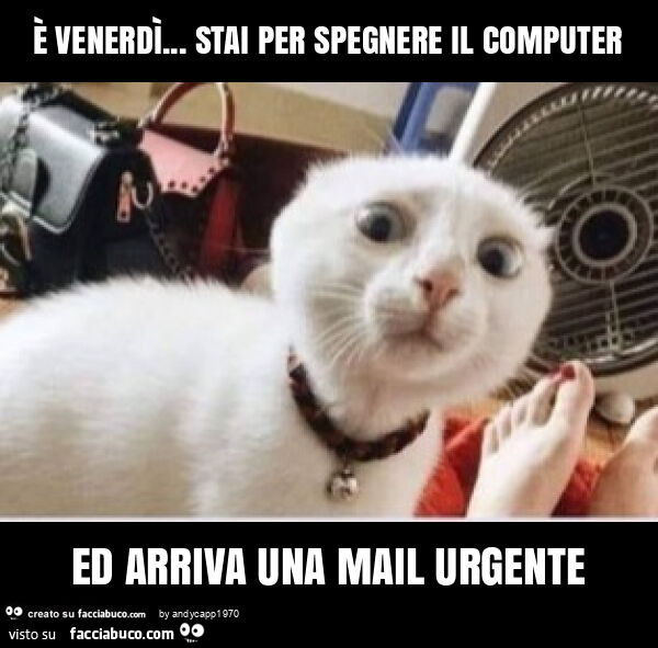 È venerdì… stai per spegnere il computer ed arriva una mail urgente