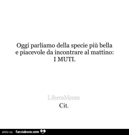 Oggi parliamo della specie più bella e piacevole da incontrare al mattino: i muti