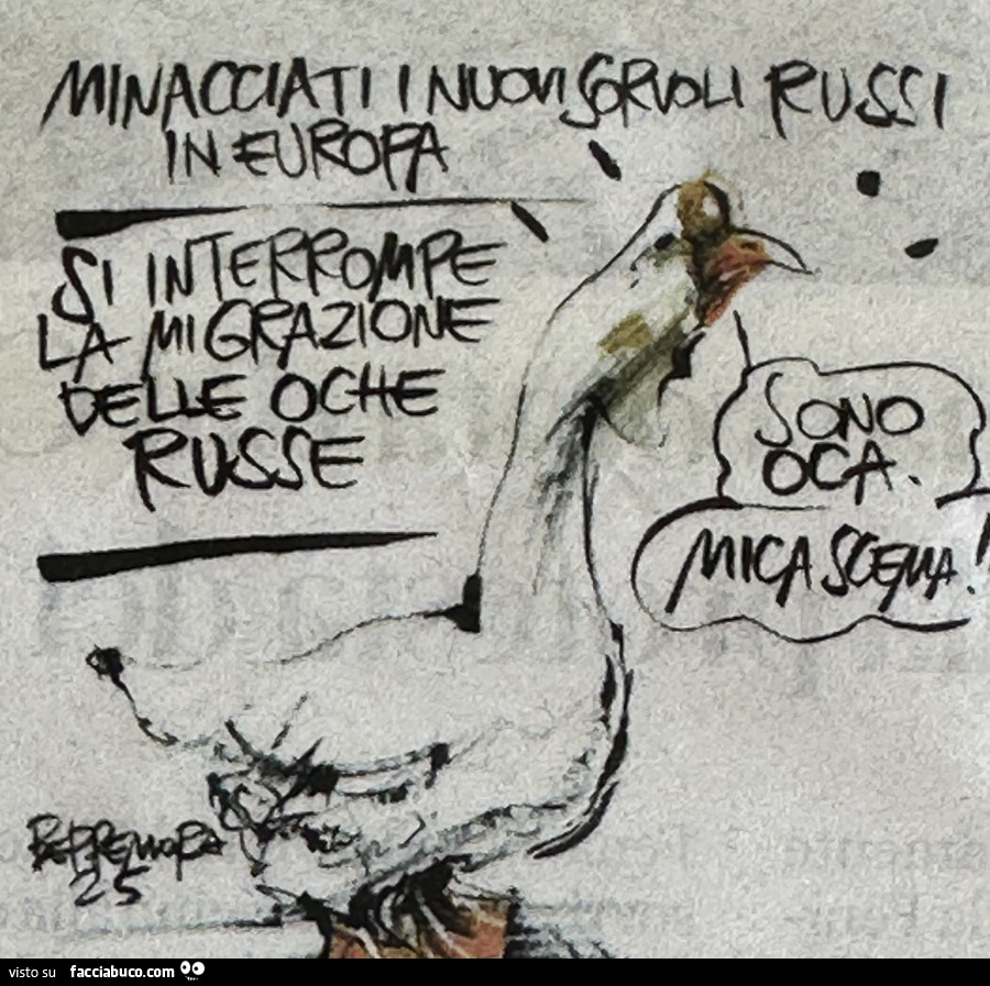 Vaccata
