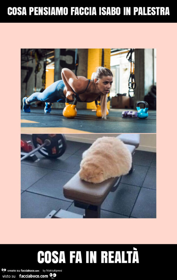 Cosa pensiamo faccia isabo in palestra cosa fa in realtà