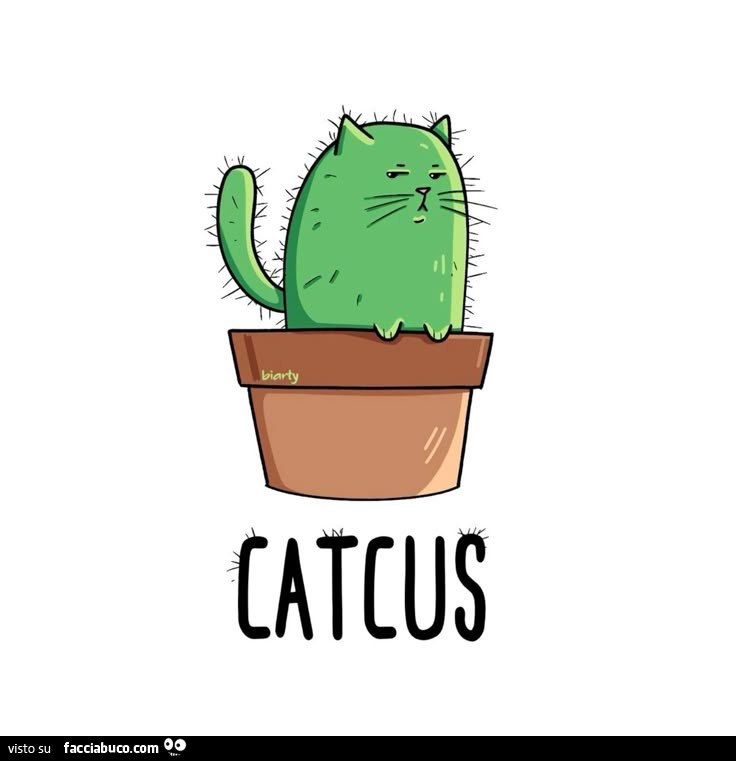 Cactus