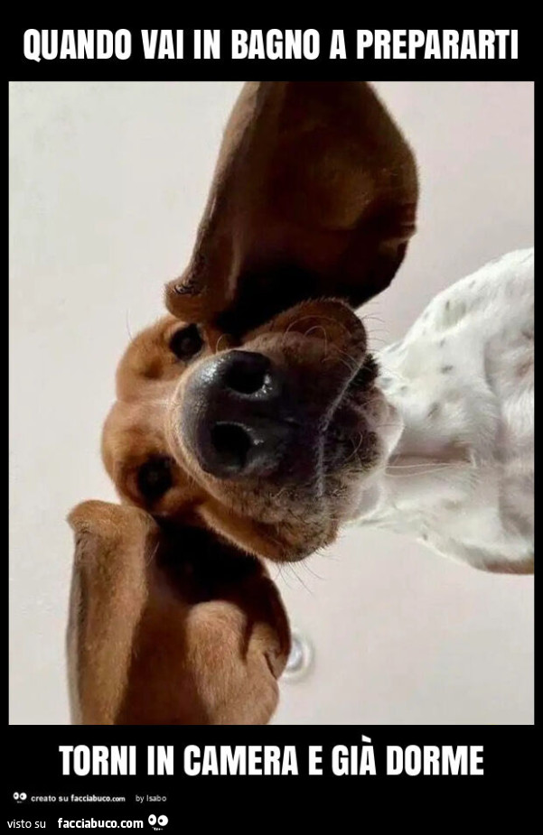 Quando vai in bagno a prepararti torni in camera e già dorme