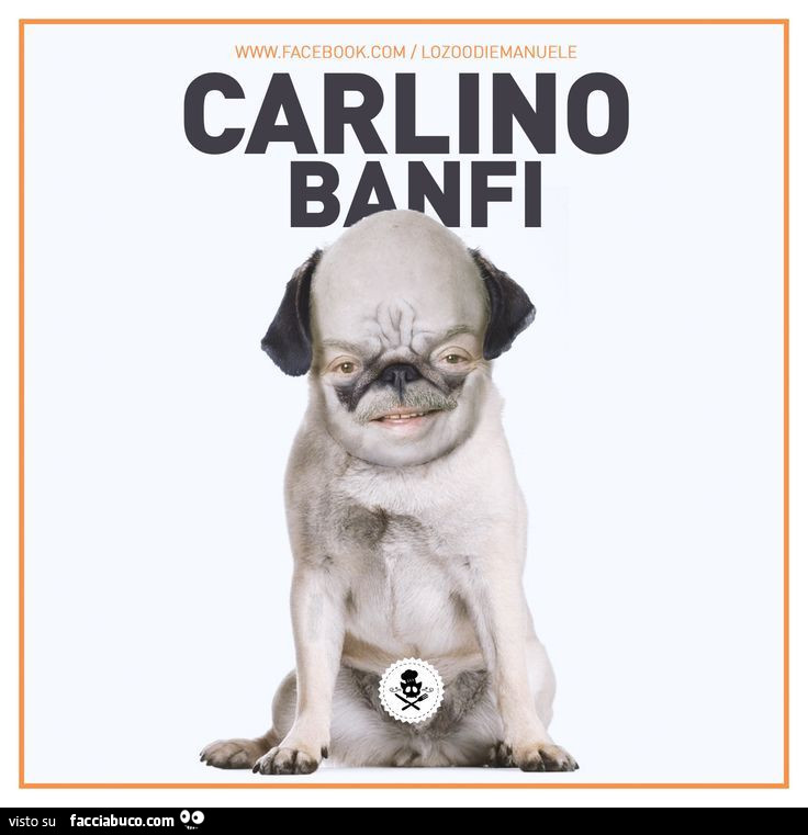 Carlino Banfi
