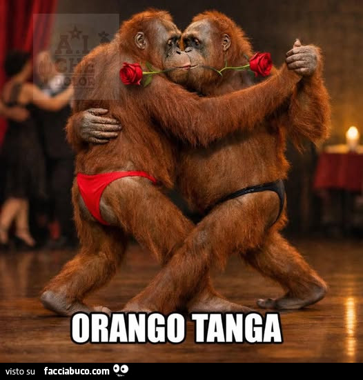 Orango tanga