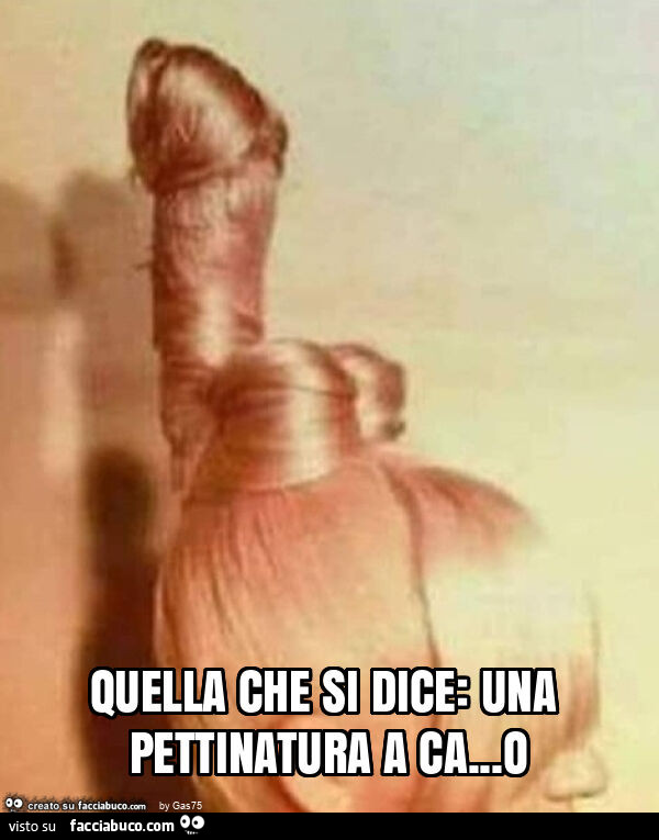 Quella che si dice: una pettinatura a ca&hellip; o