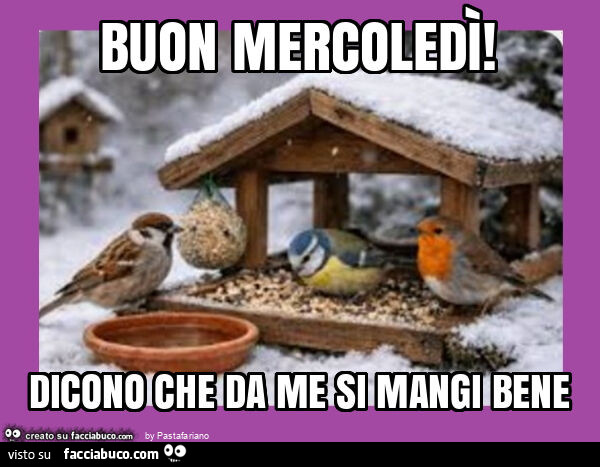 Buon mercoledì! Dicono che da me si mangi bene