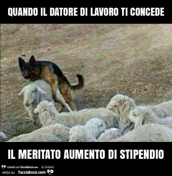 Quando il datore di lavoro ti concede il meritato aumento di stipendio