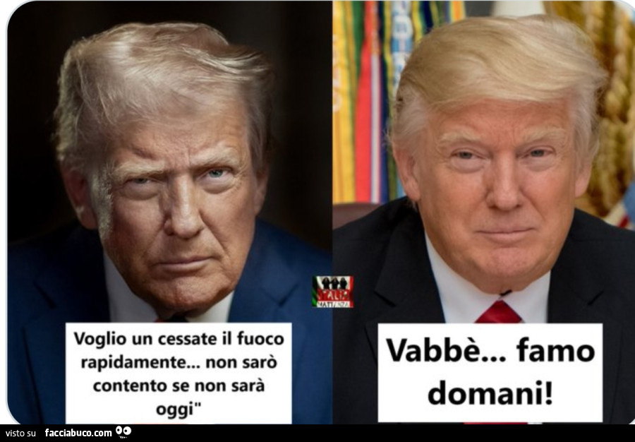 Vaccata