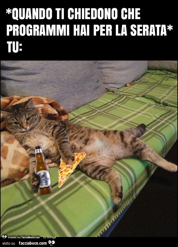 *quando ti chiedono che programmi hai per la serata* tu