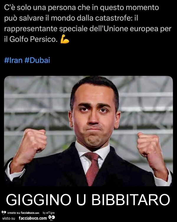 Giggino u bibbitaro
