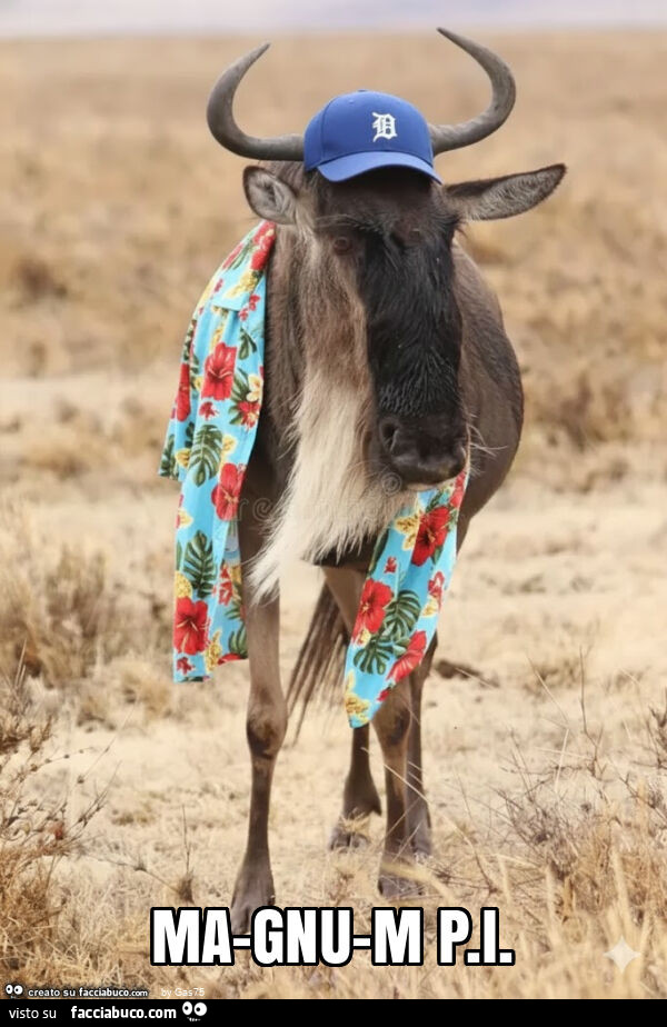 Ma-gnu-m p. I