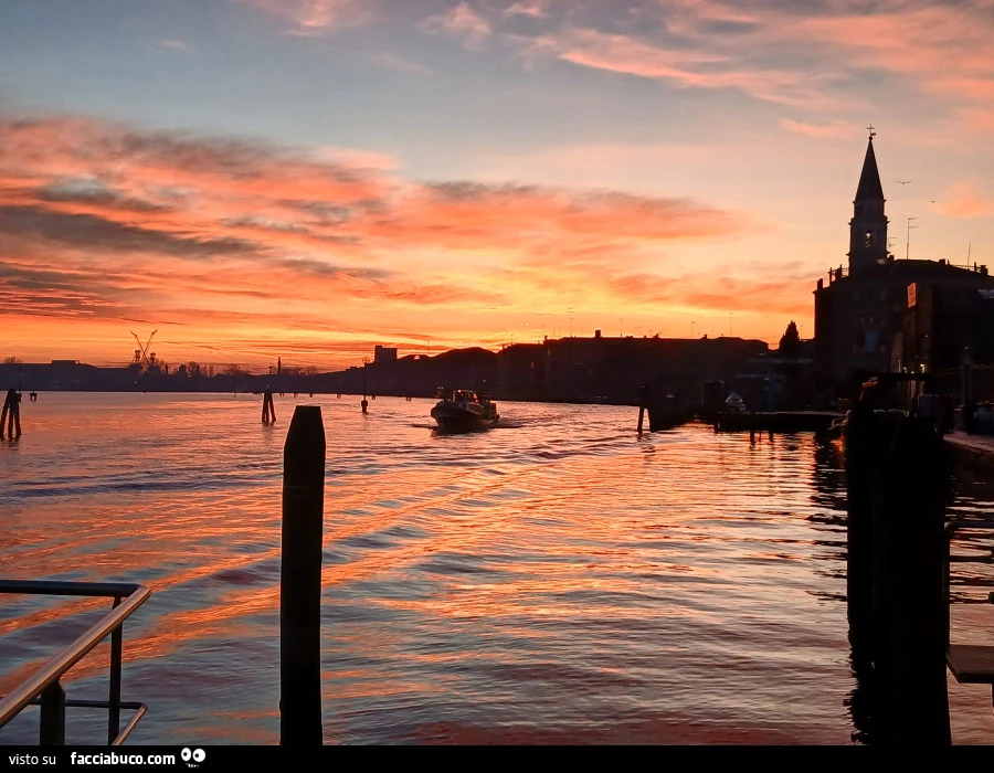Venezia alba