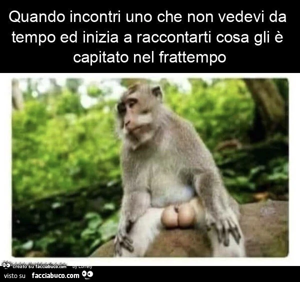 Quando incontri uno che non vedevi da tempo ed inizia a raccontarti cosa gli è capitato nel frattempo