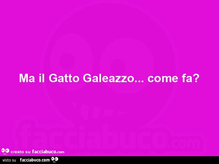 Ma il gatto galeazzo&hellip; come fa?