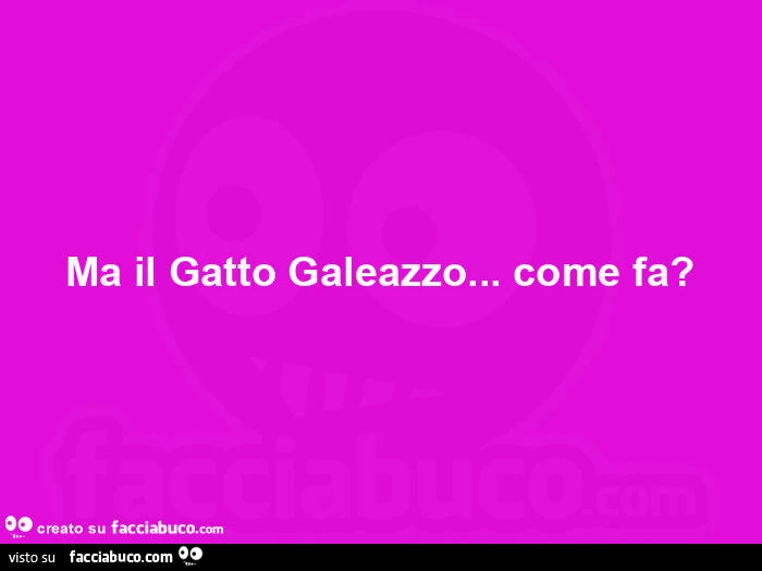 Ma il gatto galeazzo… come fa?