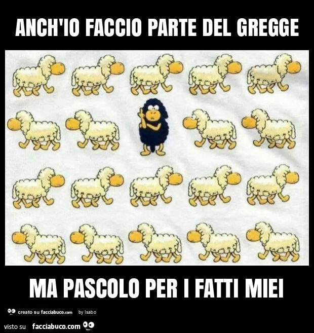Anch'io faccio parte del gregge ma pascolo per i fatti miei