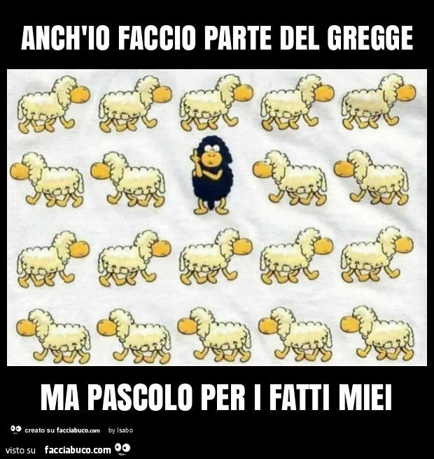 Anch'io faccio parte del gregge ma pascolo per i fatti miei