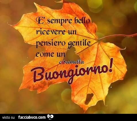 È sempre bello ricevere un pensiero gentile come un buongiorno