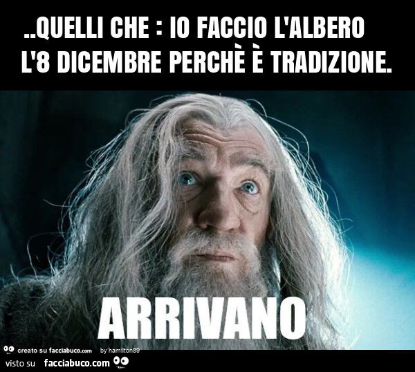 Quelli che: io faccio l'albero l'8 dicembre perchè è tradizione