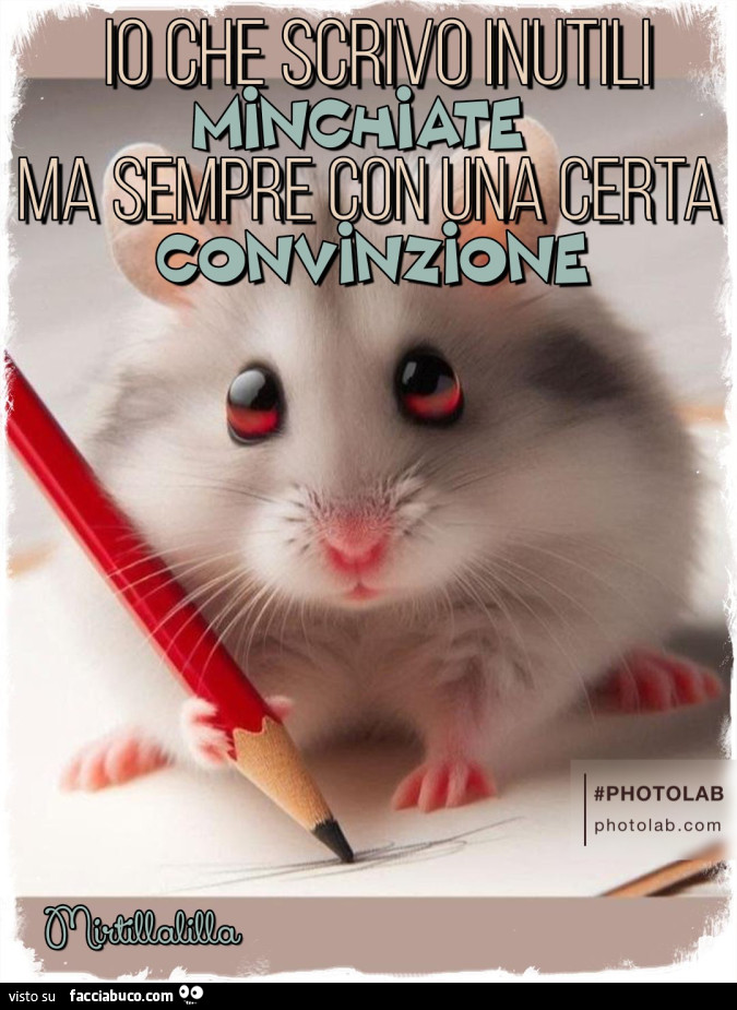 Scrivo minchiate