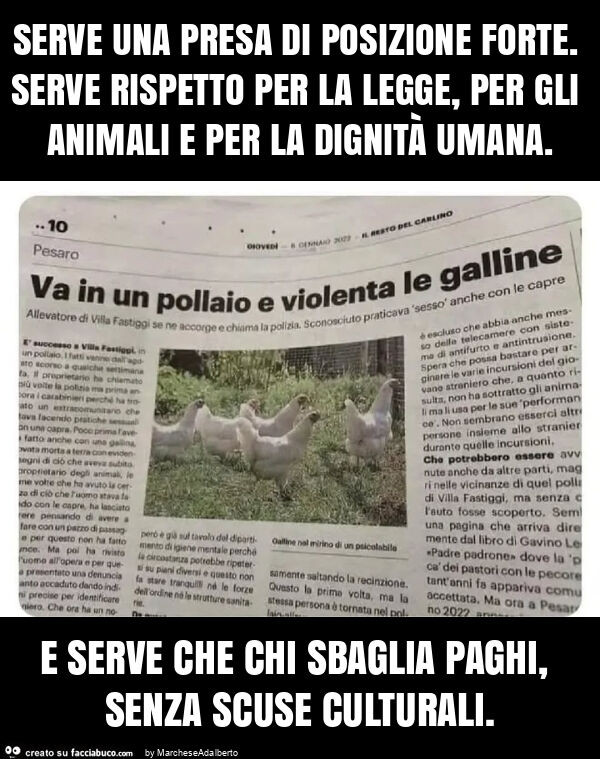 Serve una presa di posizione forte. Serve rispetto per la legge, per gli animali e per la dignità umana. E serve che chi sbaglia paghi, senza scuse culturali
