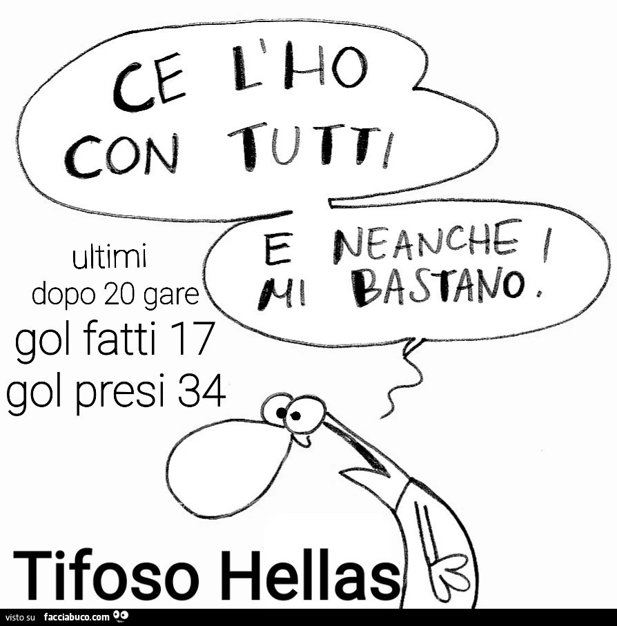 Ce l'ho con tutti e neanche mi bastano. Tifoso Hellas