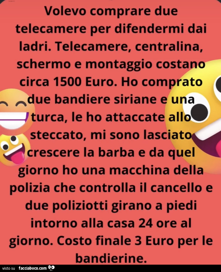 Volevo comprare due telecamere per difendermi dai ladri. Telecamere, centralina, schermo e montaggio costano circa 1500 euro. Ho comprato due bandiere siriane e una turca, le ho attaccate