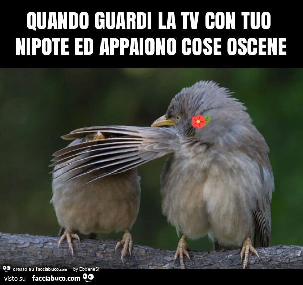 Quando guardi la tv con tuo nipote ed appaiono cose oscene