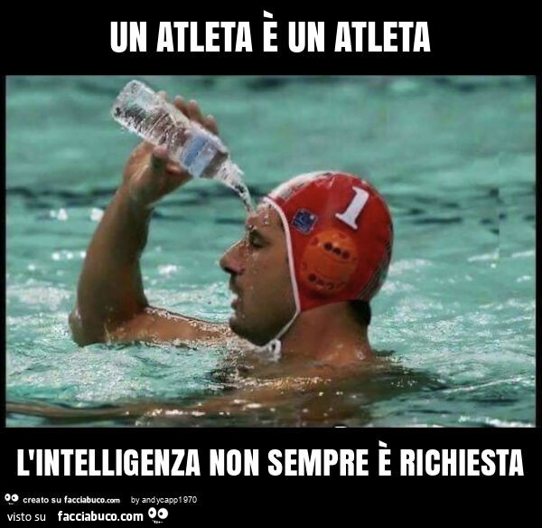 Un atleta è un atleta l'intelligenza non sempre è richiesta