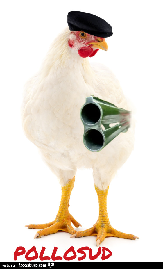 Pollo col fucile