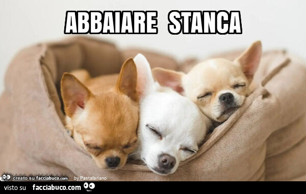 Abbaiare stanca