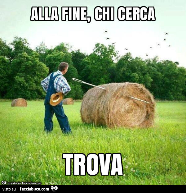 Alla fine, chi cerca trova