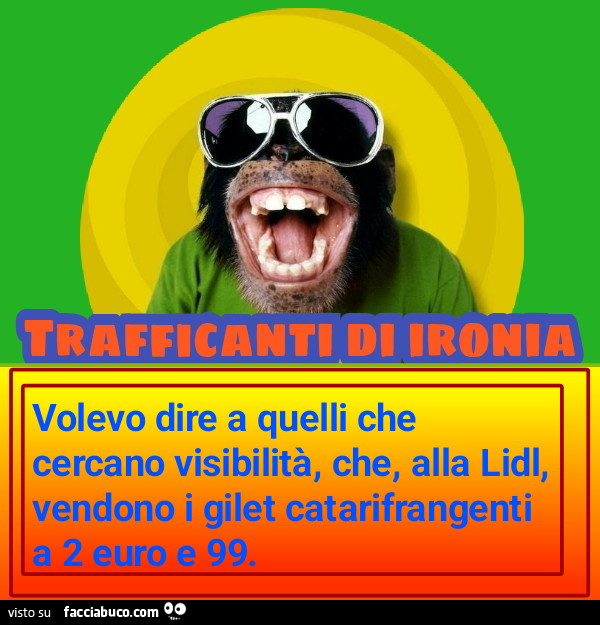 Volevo dire a quelli che cercano visibilità che alla lidl vendono gilet