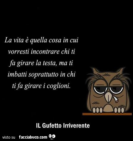 La vita è quella cosa