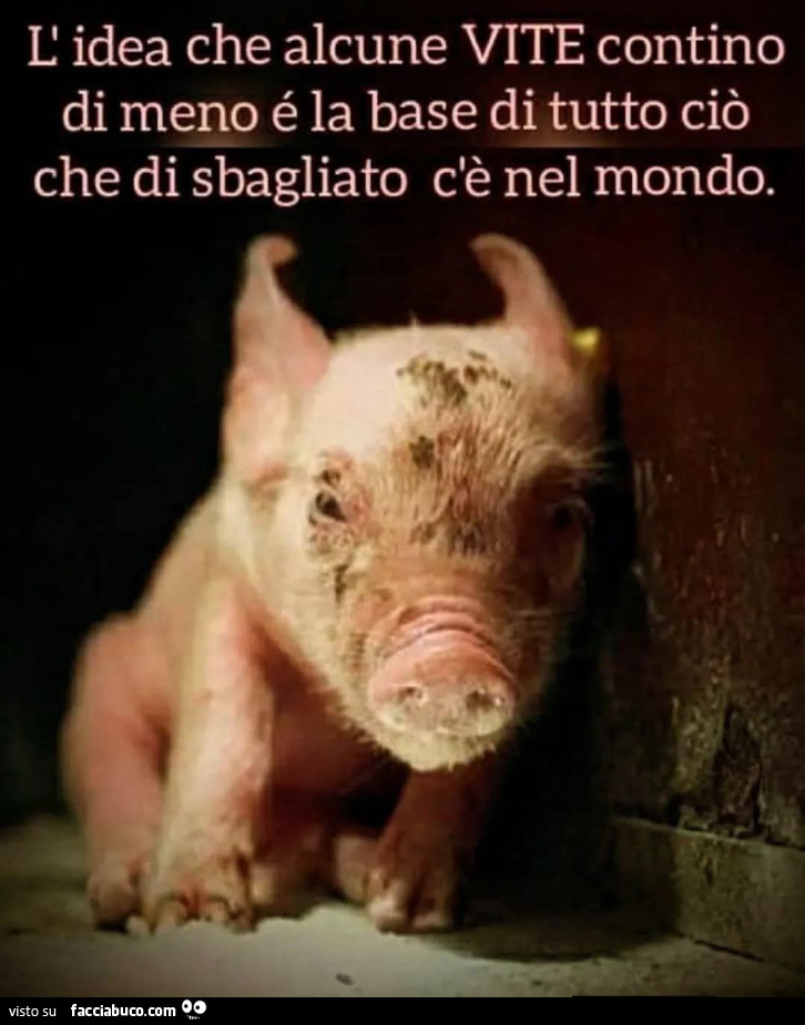 Si alla vita in ogni sua forma e aspetto