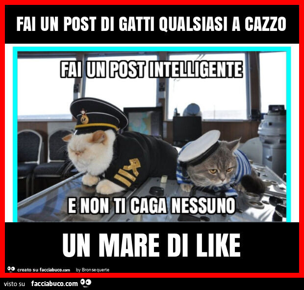 Fai un post di gatti qualsiasi a cazzo un mare di like