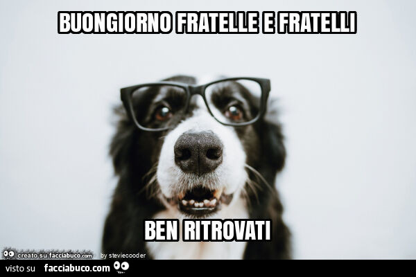 Buongiorno fratelle e fratelli ben ritrovati