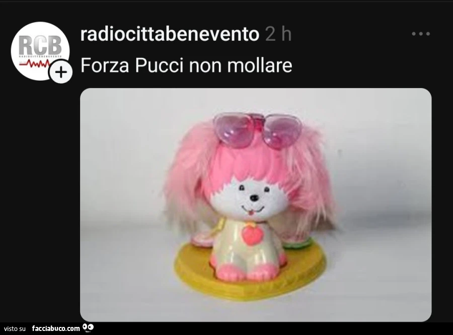 Vaccata