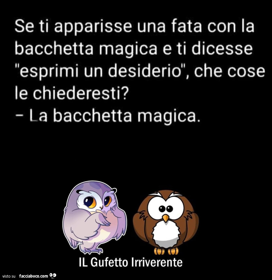 Se ti apparisse una fata con la bacchetta magica e ti dicesse esprimi un desiderio, che cose le chiederesti? La bacchetta magica