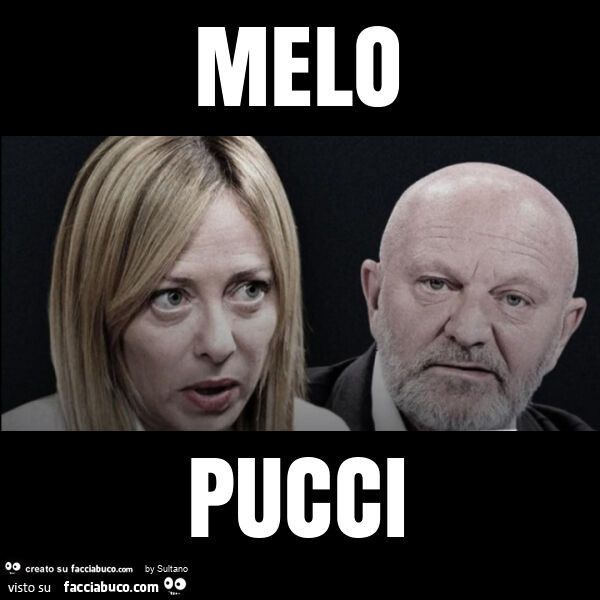 Melo pucci