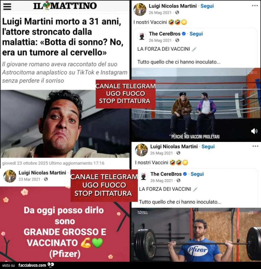 Vaccata
