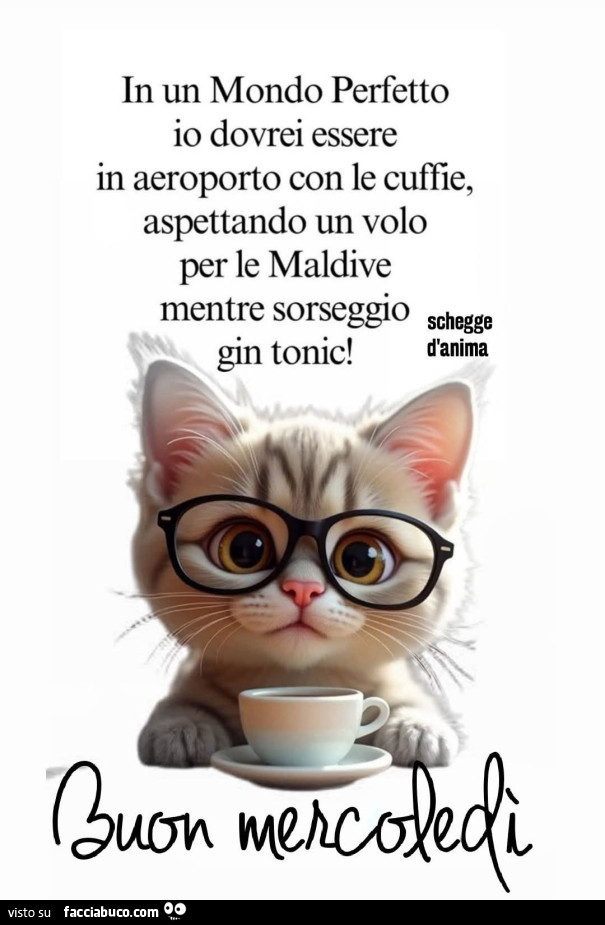 In un mondo perfetto io dovrei essere in aeroporto con le cuffie, aspettando un volo per le maldive mentre sorseggio schegge gin tonic. Buon Mercoledì