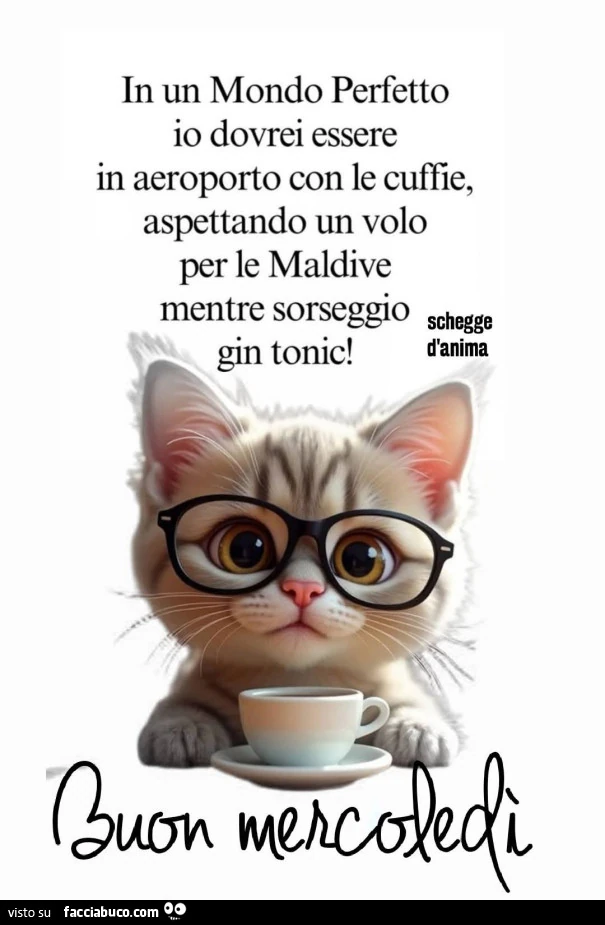 In un mondo perfetto io dovrei essere in aeroporto con le cuffie, aspettando un volo per le maldive mentre sorseggio schegge gin tonic. Buon Mercoledรฌ